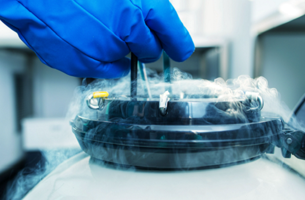 ART (assisted Reproduction)